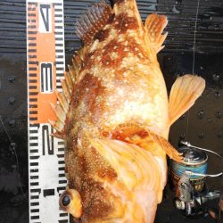 第二龍勢丸 釣果