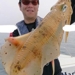 きずなまりん 釣果