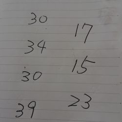 金沢八景鴨下丸 釣果