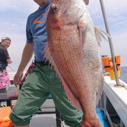 だて丸 釣果