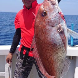 ARCADIAⅡ (アルカディアⅡ) 釣果