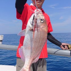 ARCADIAⅡ (アルカディアⅡ) 釣果