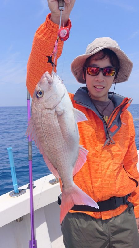 ARCADIAⅡ (アルカディアⅡ) 釣果