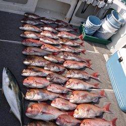 ARCADIAⅡ (アルカディアⅡ) 釣果