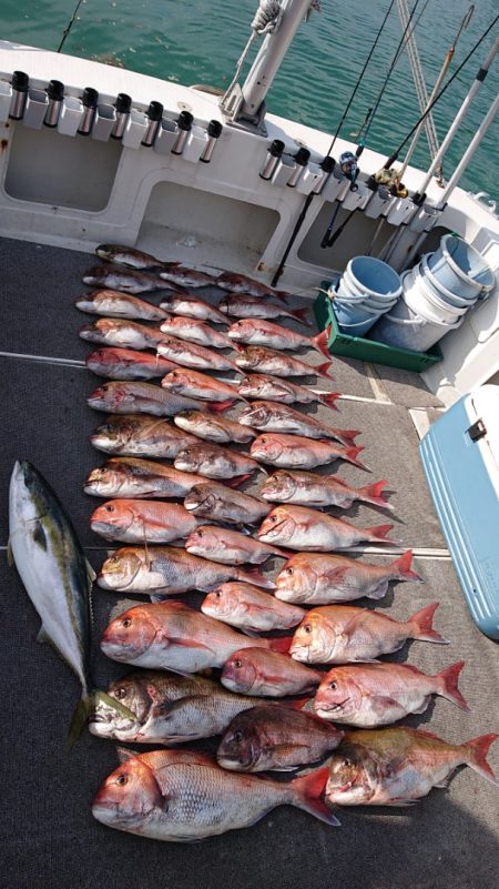 ARCADIAⅡ (アルカディアⅡ) 釣果