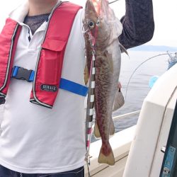 ARCADIAⅡ (アルカディアⅡ) 釣果