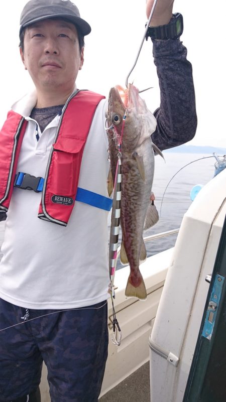 ARCADIAⅡ (アルカディアⅡ) 釣果