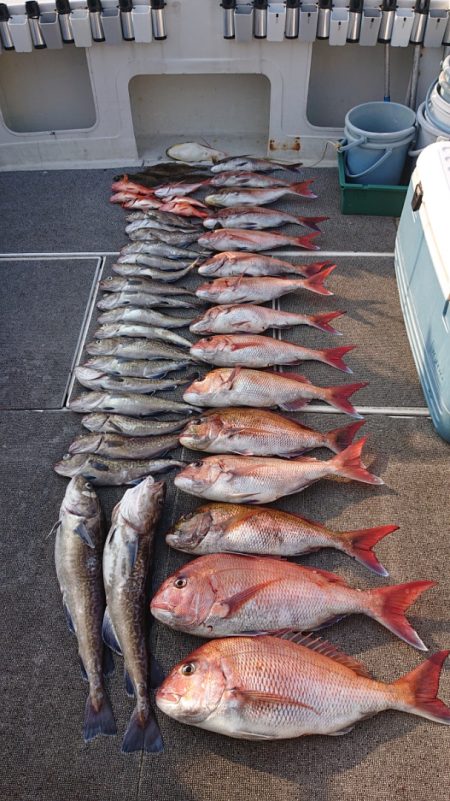 ARCADIAⅡ （アルカディアⅡ） 釣果…