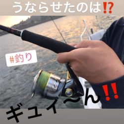 龍神丸（鹿児島） 釣果