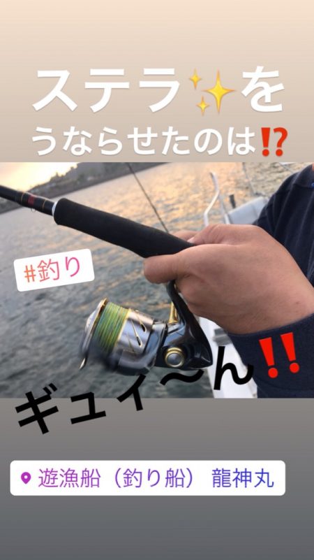 龍神丸（鹿児島） 釣果
