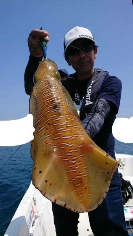 きずなまりん 釣果