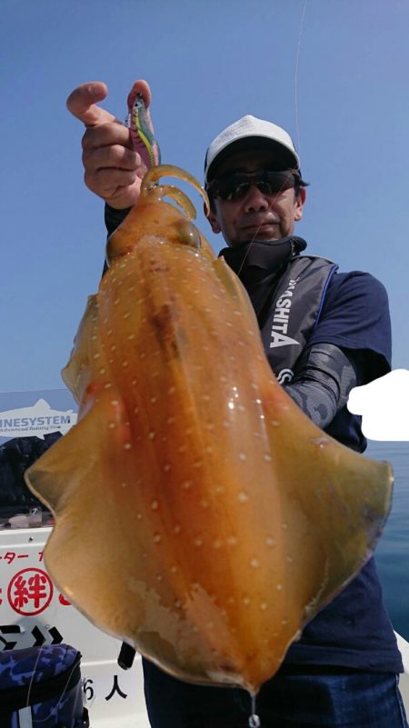 きずなまりん 釣果