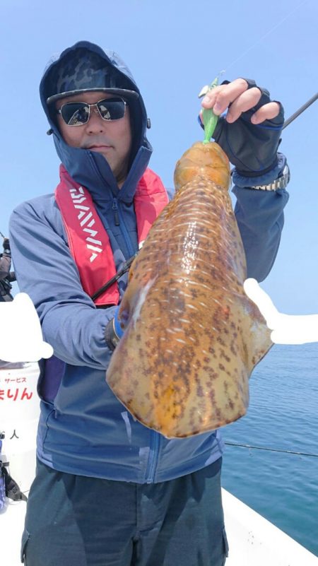 きずなまりん 釣果