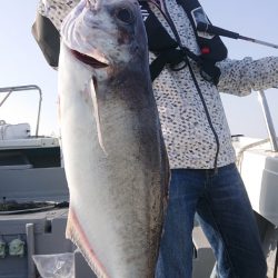 だて丸 釣果