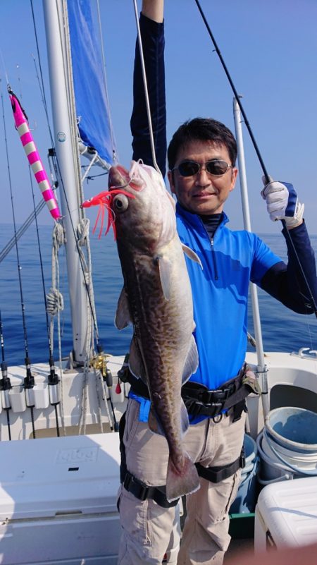 ARCADIAⅡ (アルカディアⅡ) 釣果