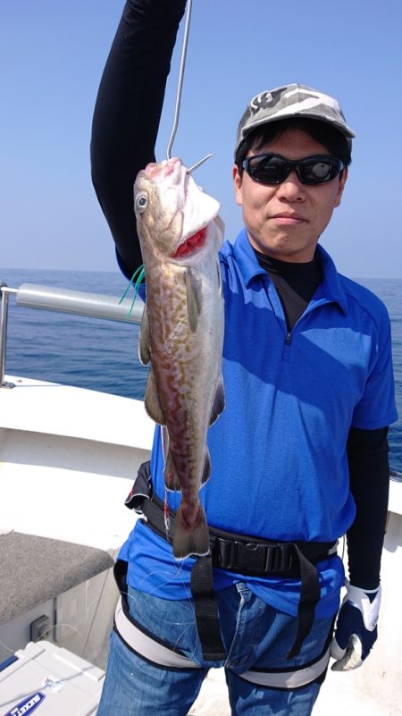 ARCADIAⅡ (アルカディアⅡ) 釣果