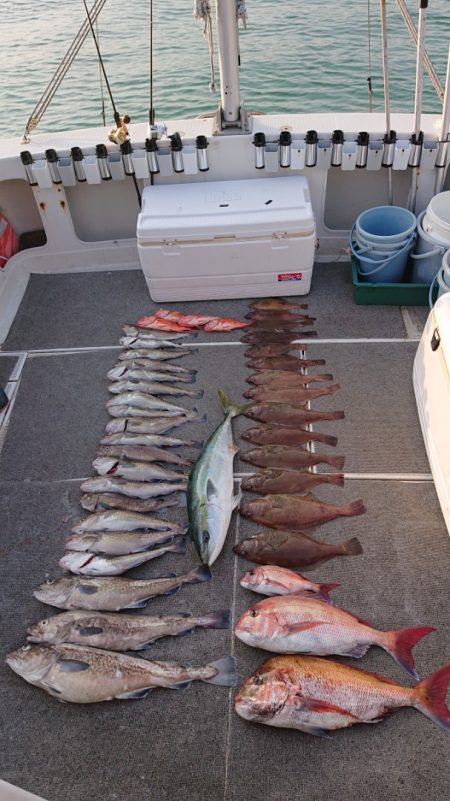 ARCADIAⅡ (アルカディアⅡ) 釣果