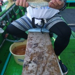 小島丸 釣果