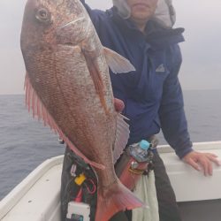 だて丸 釣果