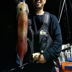 LUSTER『ラスター』 釣果