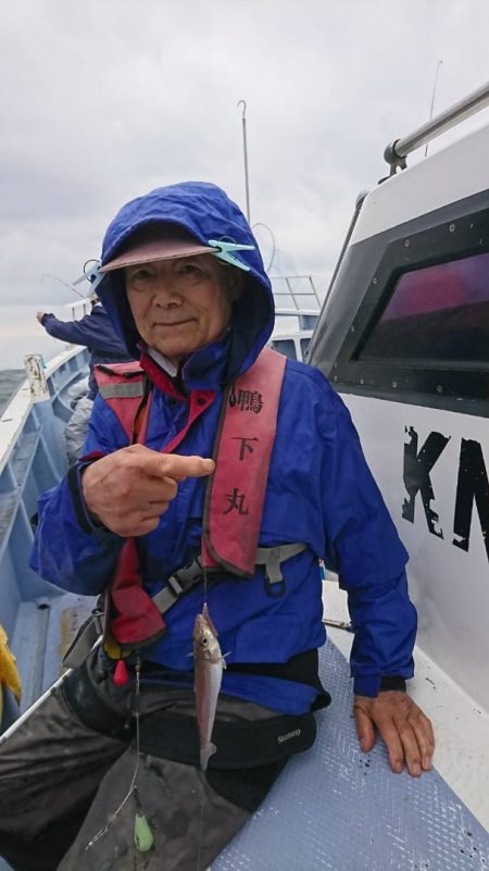 金沢八景鴨下丸 釣果