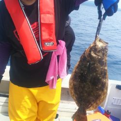 ブルドック 釣果