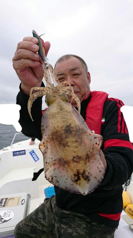 きずなまりん 釣果