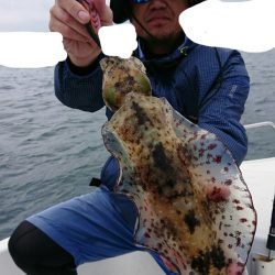 きずなまりん 釣果