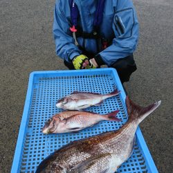 第三共栄丸 釣果