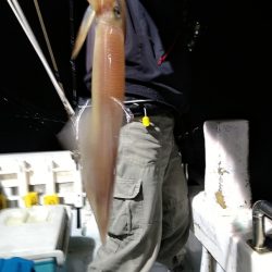 LUSTER『ラスター』 釣果