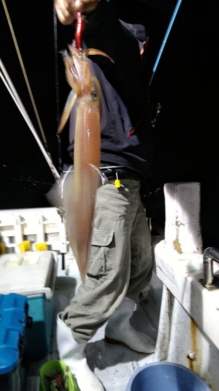 LUSTER『ラスター』 釣果