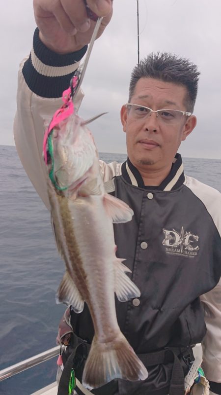 ARCADIAⅡ (アルカディアⅡ) 釣果