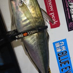 シースナイパー海龍 釣果