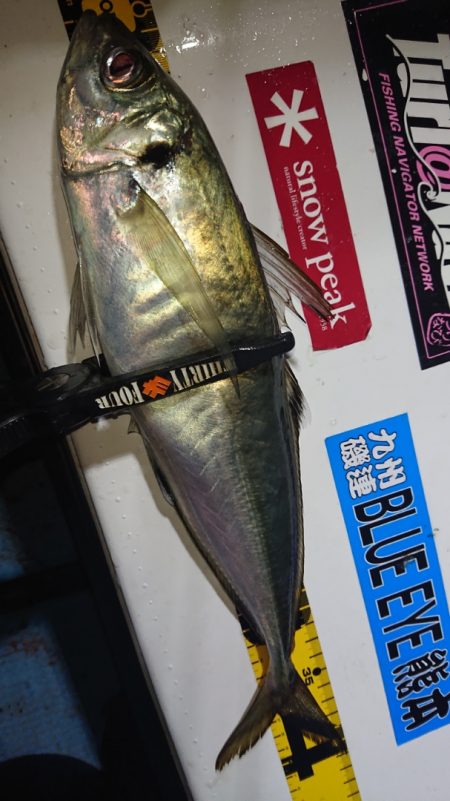 シースナイパー海龍 釣果