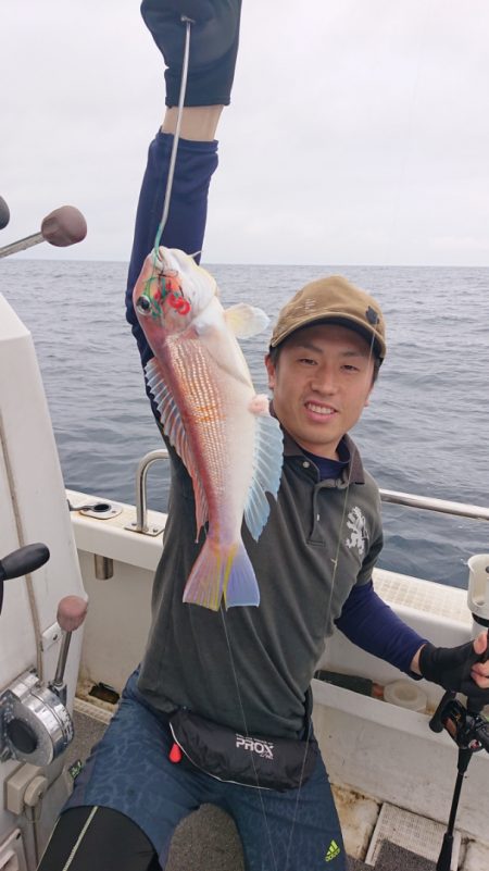 ARCADIAⅡ (アルカディアⅡ) 釣果