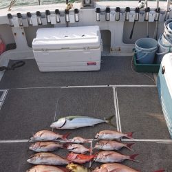 ARCADIAⅡ (アルカディアⅡ) 釣果