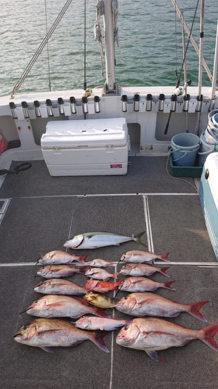 ARCADIAⅡ (アルカディアⅡ) 釣果