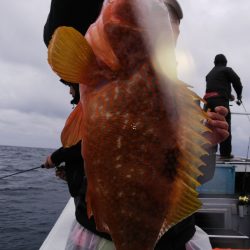 第二龍勢丸 釣果