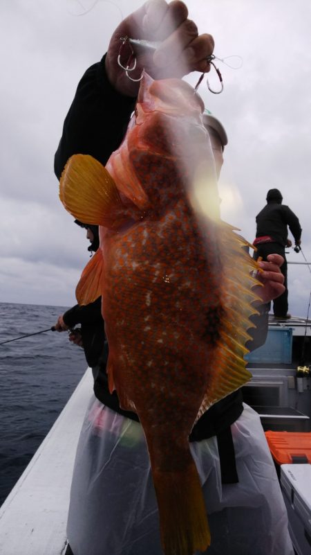 第二龍勢丸 釣果