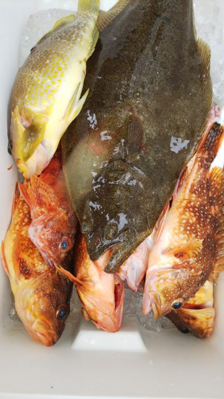 第二龍勢丸 釣果