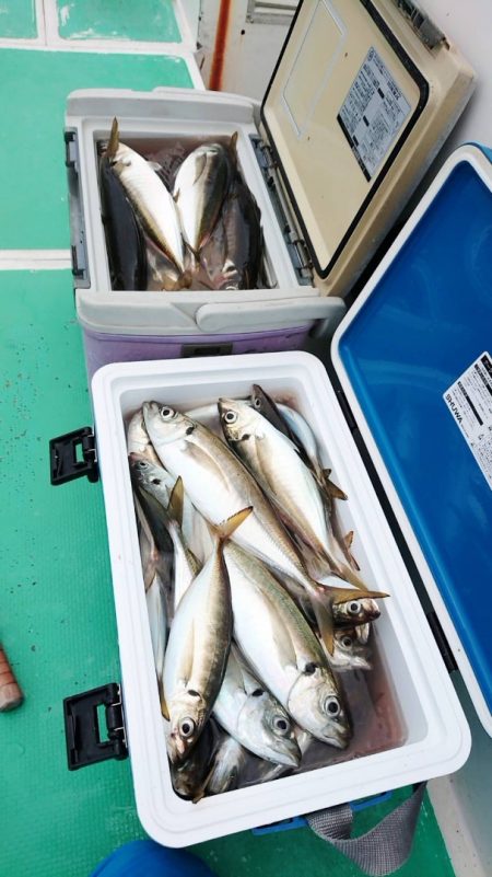 金沢八景鴨下丸 釣果