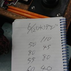 金沢八景鴨下丸 釣果