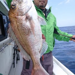 だて丸 釣果