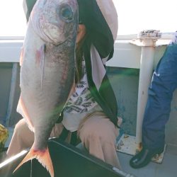 だて丸 釣果
