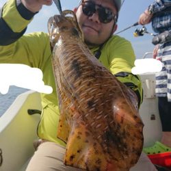 きずなまりん 釣果