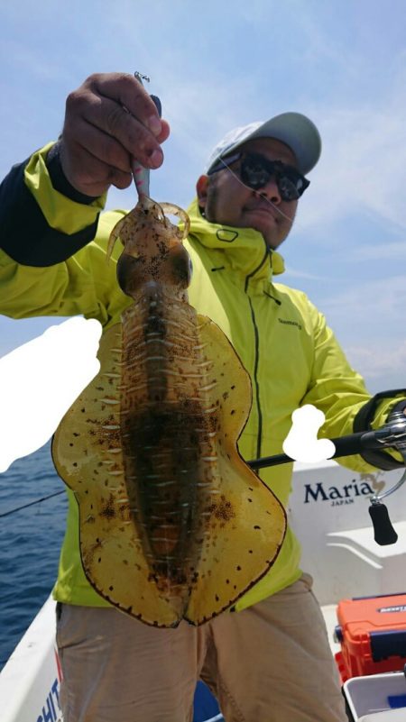 きずなまりん 釣果