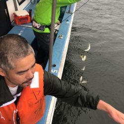 ヤザワ渡船 釣果