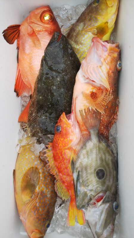 第二龍勢丸 釣果