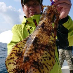 きずなまりん 釣果