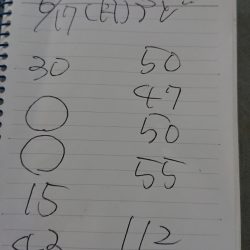 金沢八景鴨下丸 釣果